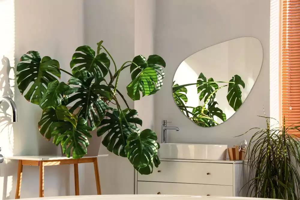 Oglindă organică perete decorativă