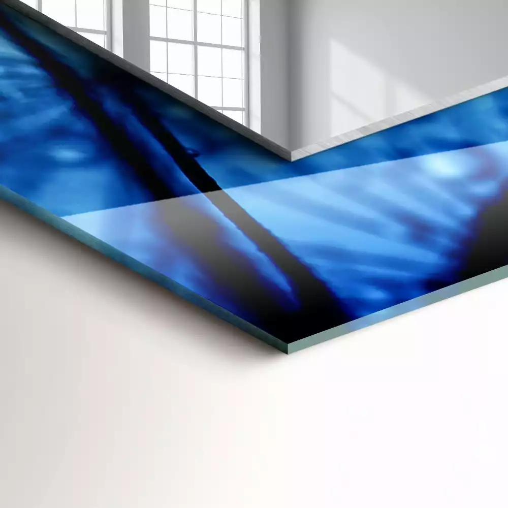 Decorațiuni perete cu oglindă Picături pe păpădii