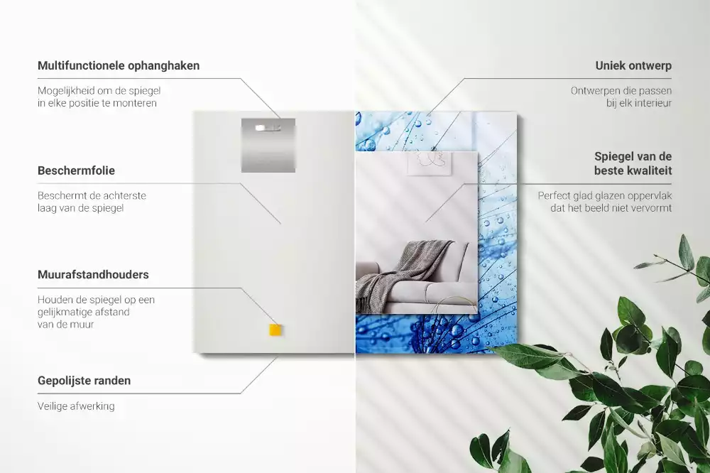 Decorațiuni perete cu oglindă Picături pe păpădii