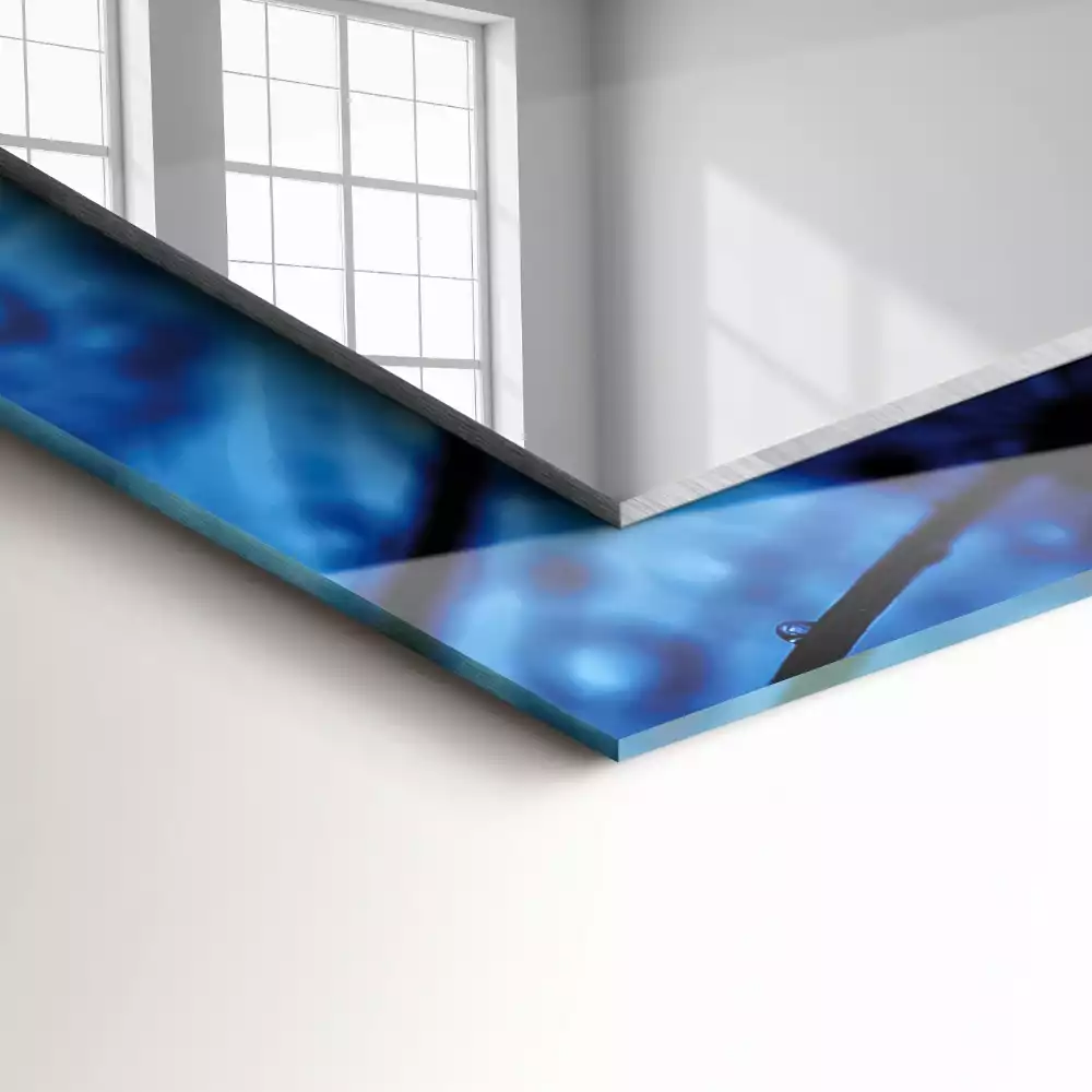 Decorațiuni perete cu oglindă Picături pe păpădii